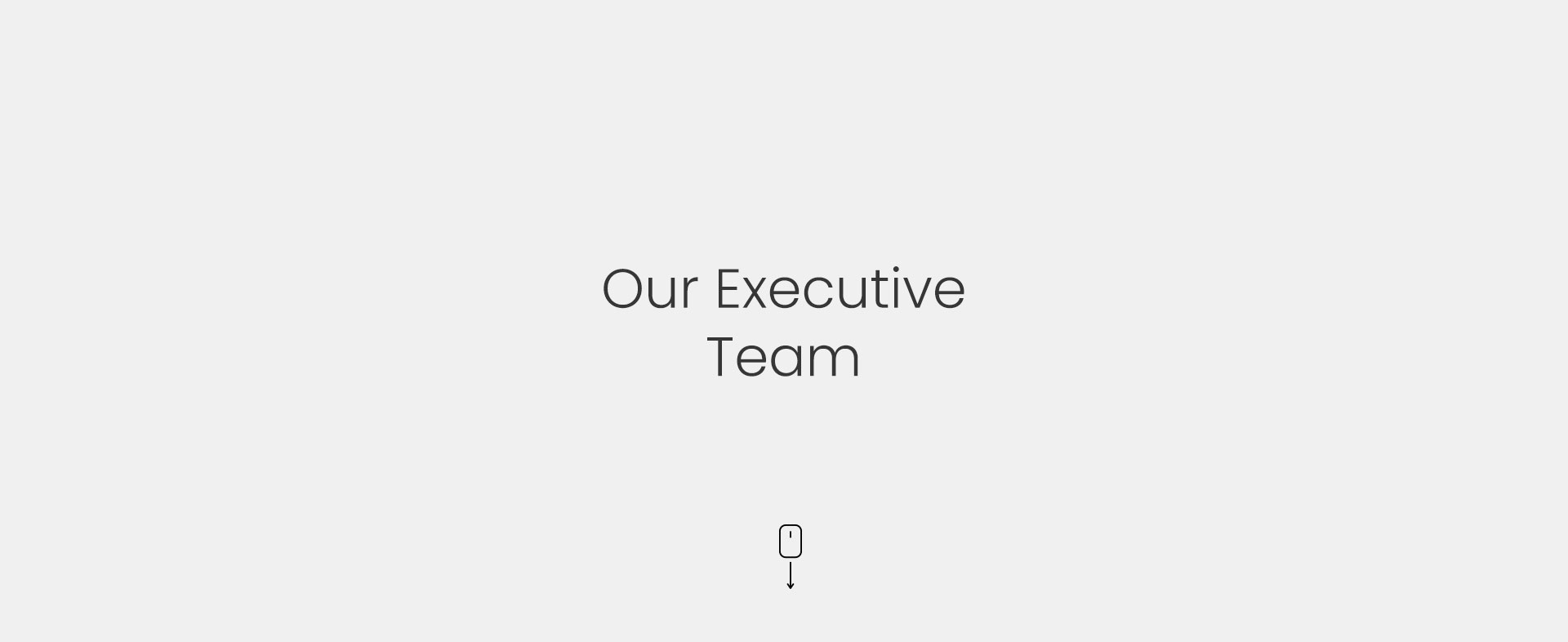 Our Executive Team